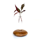 Wood Ceylon Pebble Shape Test Tube Vase with Glass Tube and Wooden Base for Elegant Floral Displays