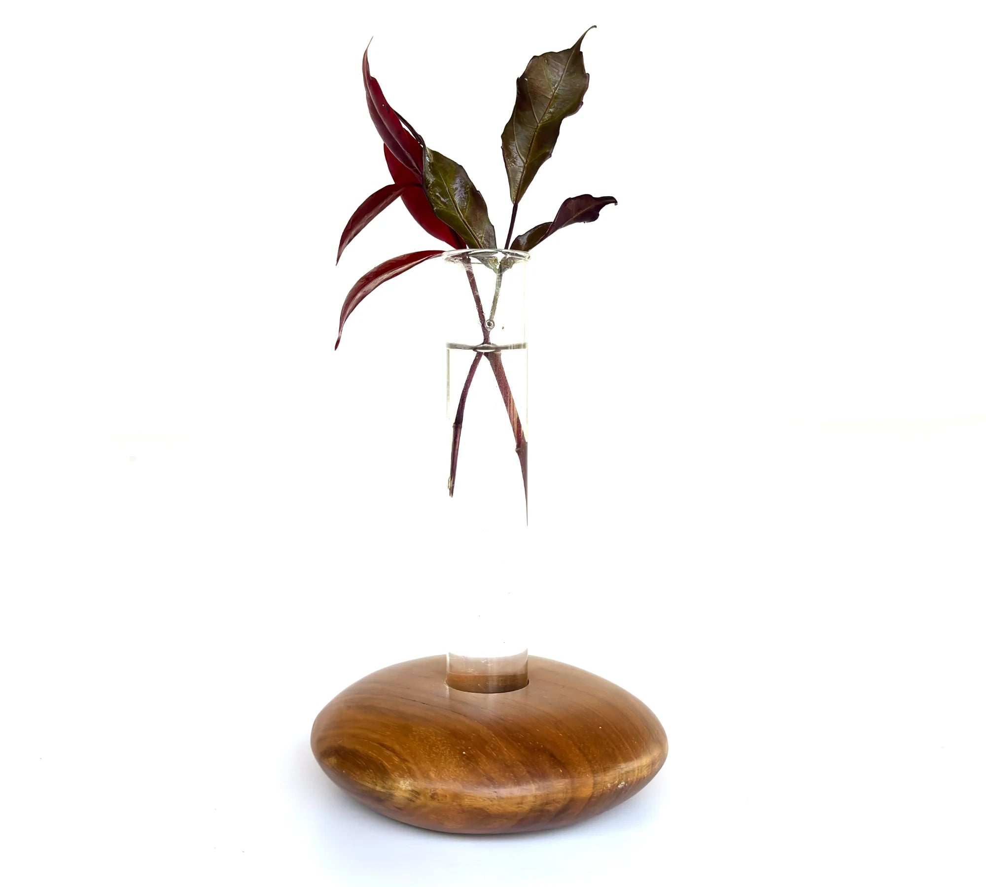 Wood Ceylon Pebble Shape Test Tube Vase with Glass Tube and Wooden Base for Elegant Floral Displays