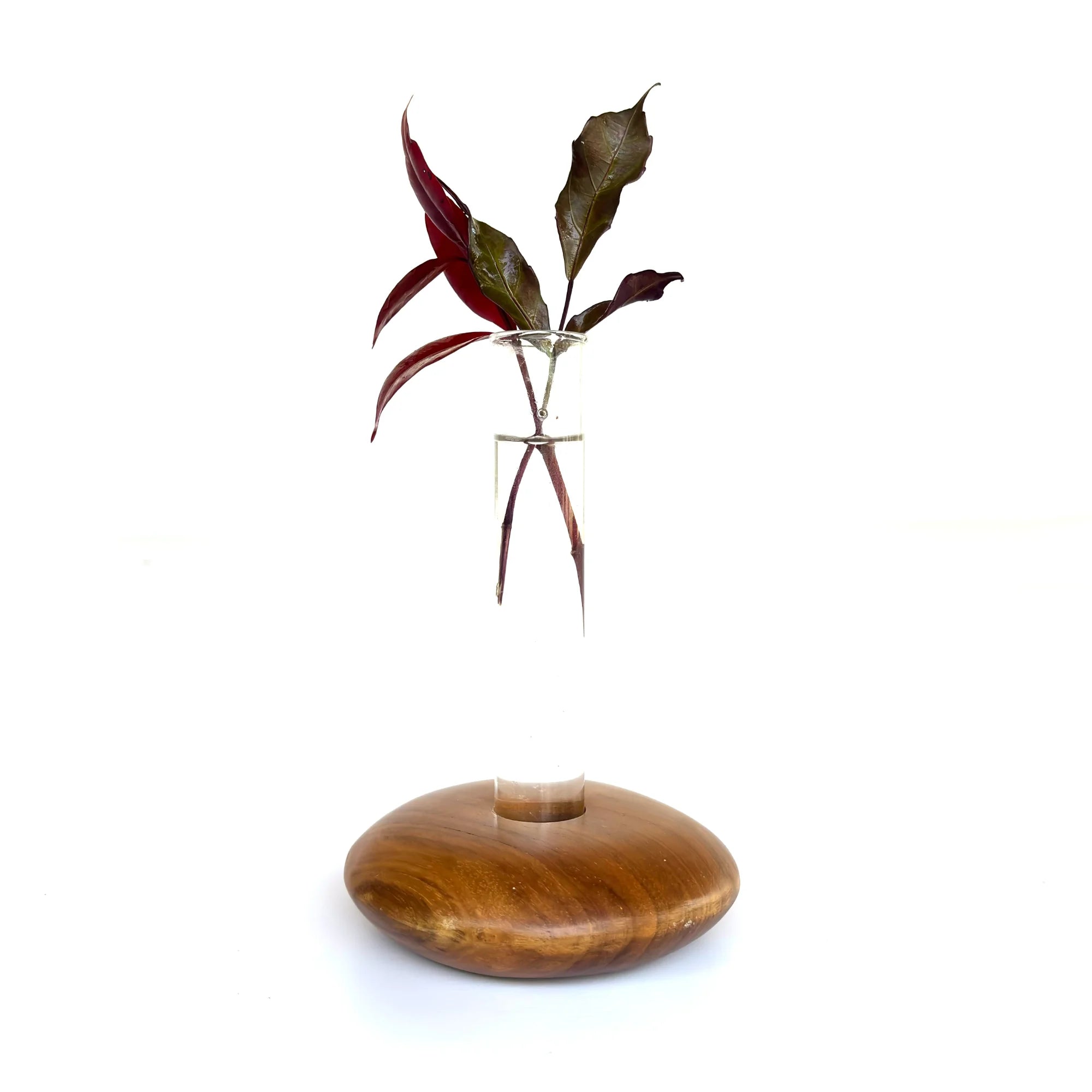 Wood Ceylon Pebble Shape Test Tube Vase with Glass Tube and Wooden Base for Elegant Floral Displays