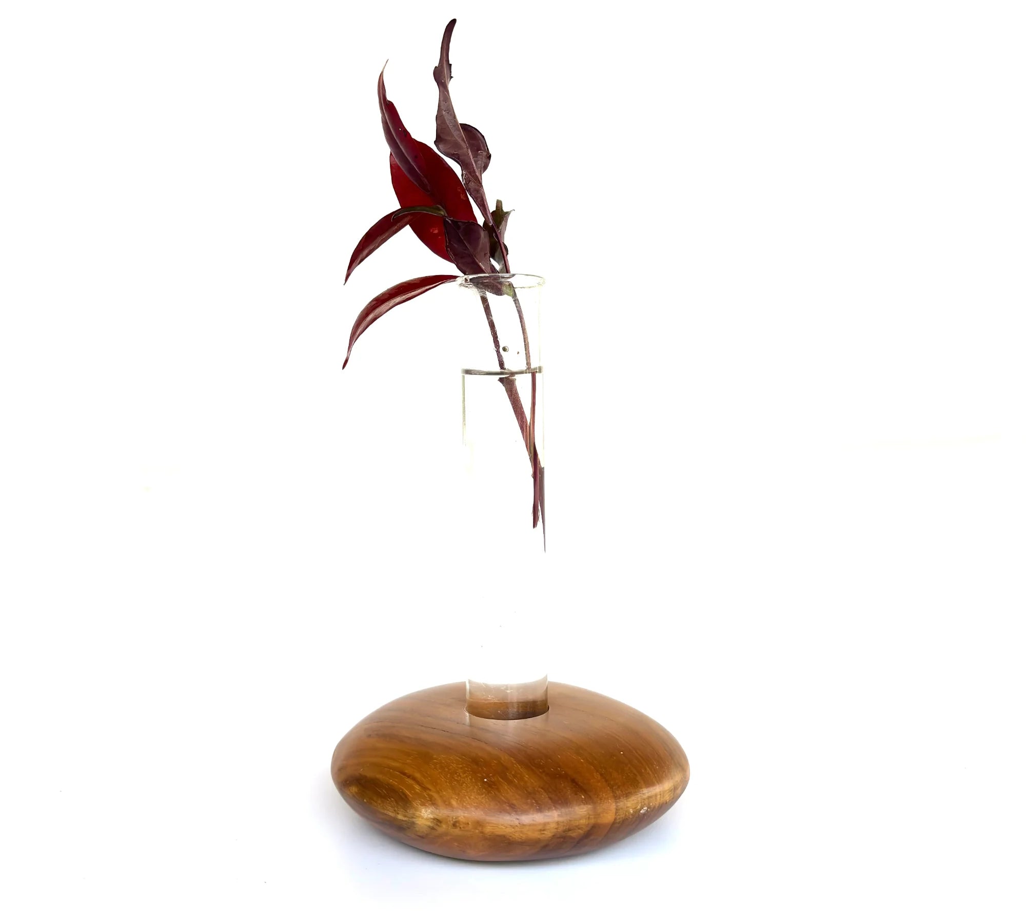 Pebble shape test tube vase with wooden base and single red leaf for elegant home decor