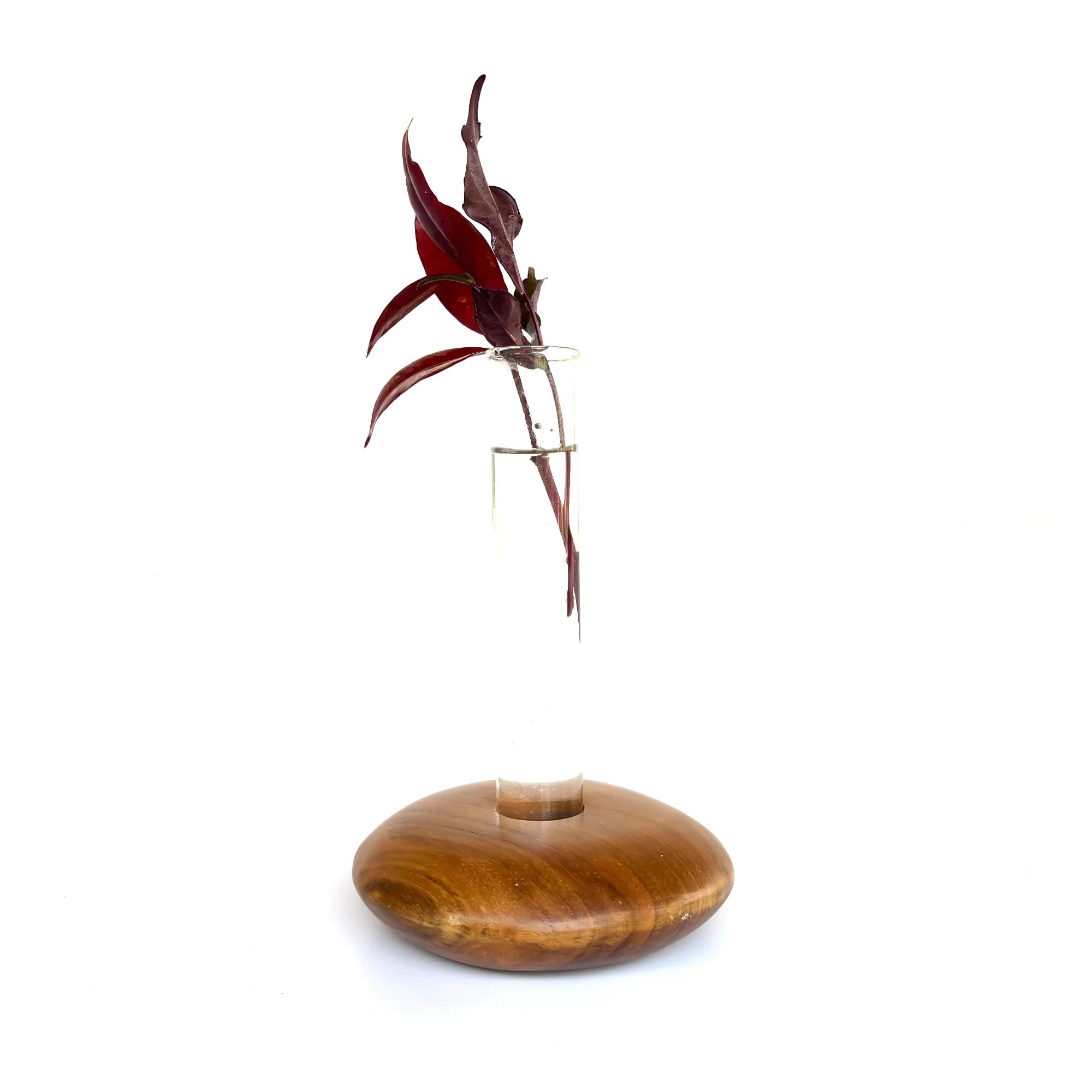Pebble shape test tube vase with wooden base and single red leaf for elegant home decor