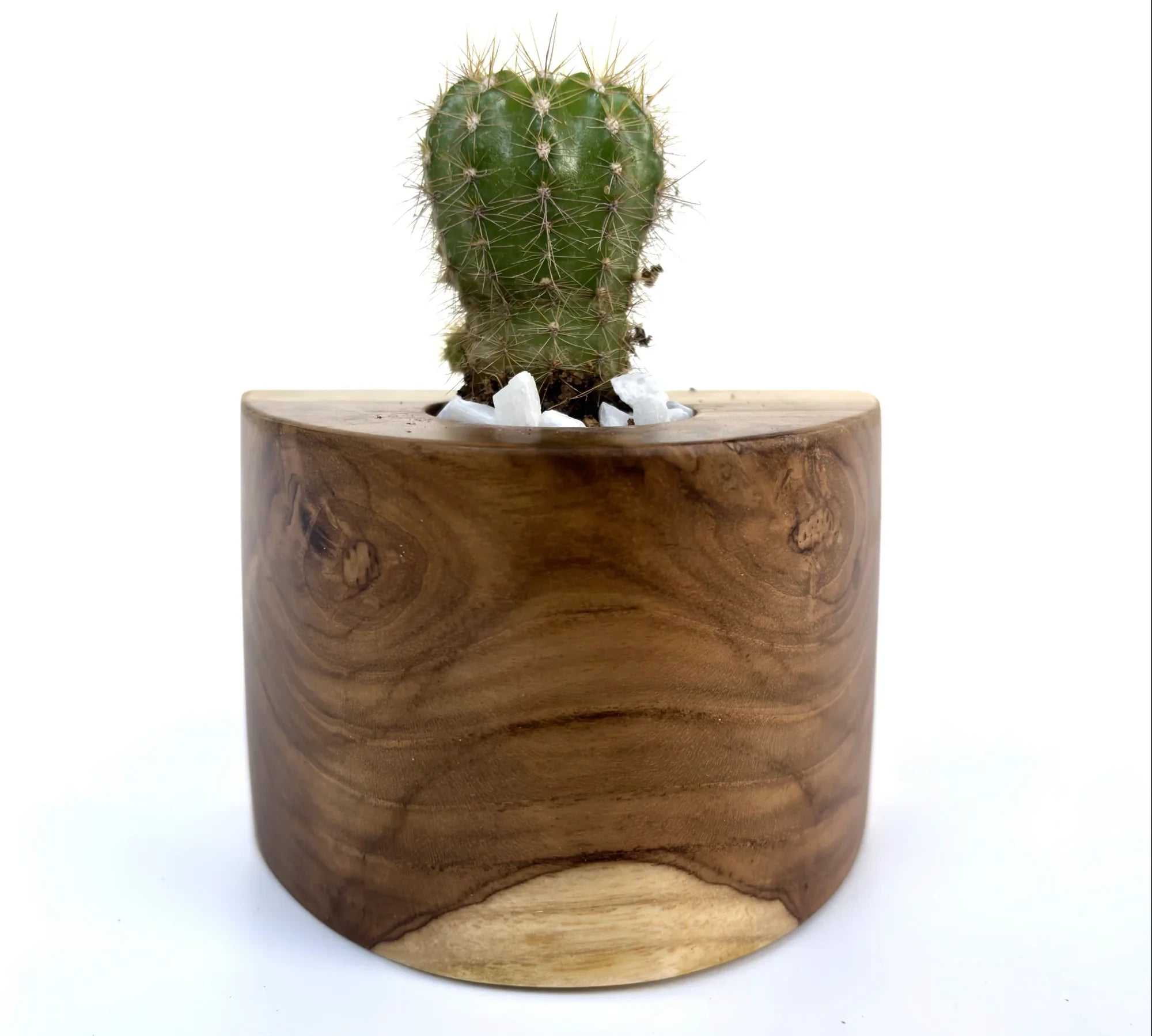 Unique Wooden Cactus Pot crafted from natural wood with a cactus plant and decorative stones