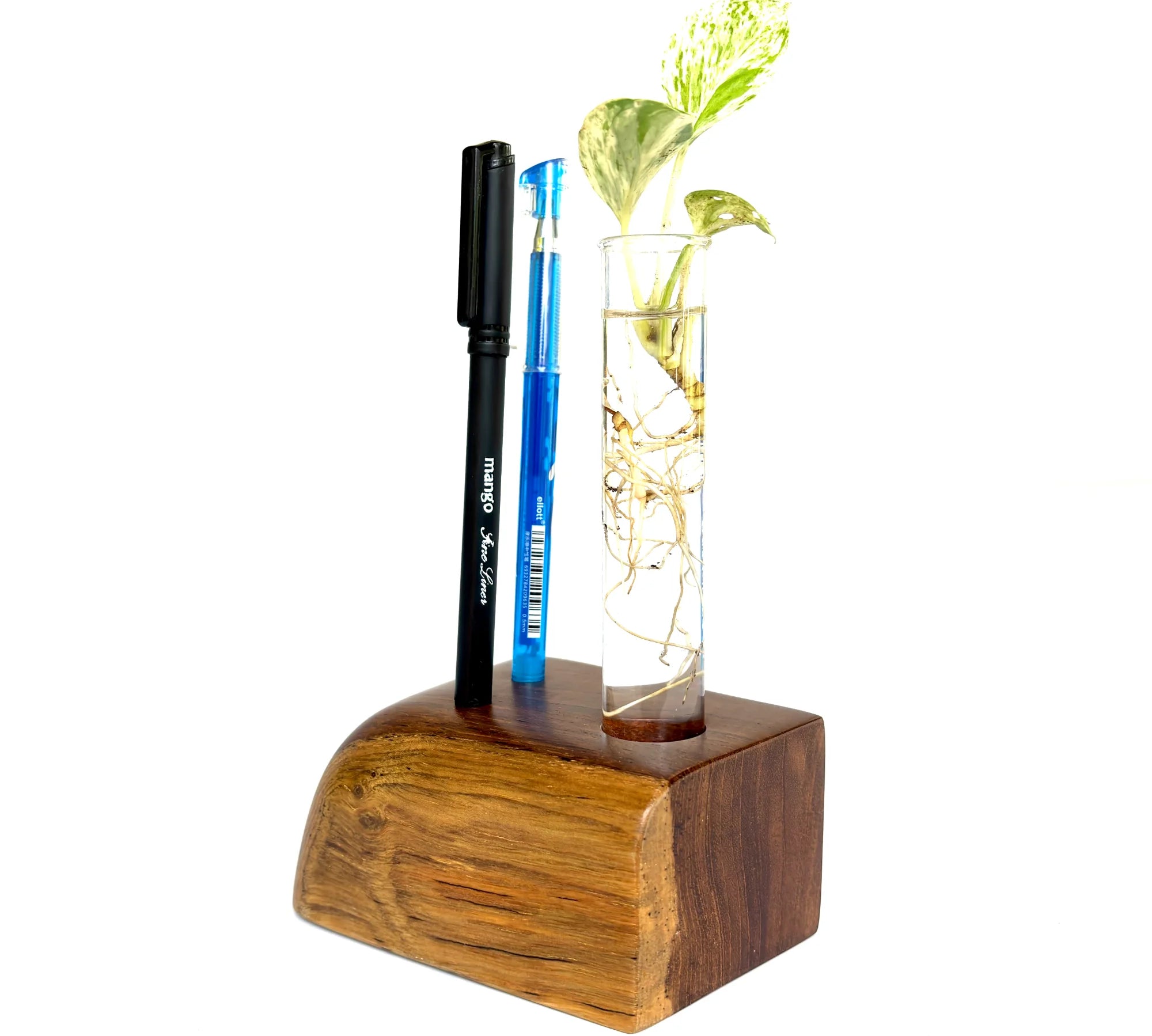 Stylish wooden pen holder featuring a test tube vase for flowers and a sleek design