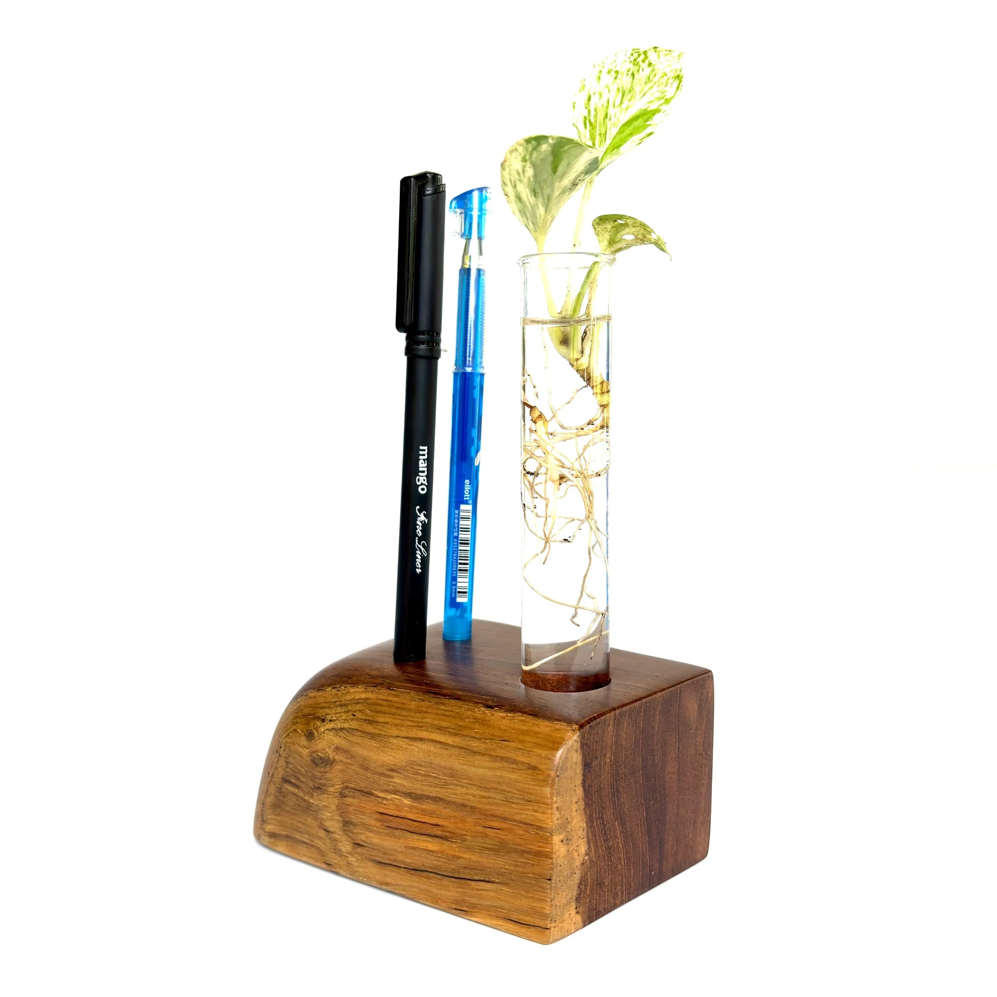 Stylish wooden pen holder featuring a test tube vase for flowers and a sleek design