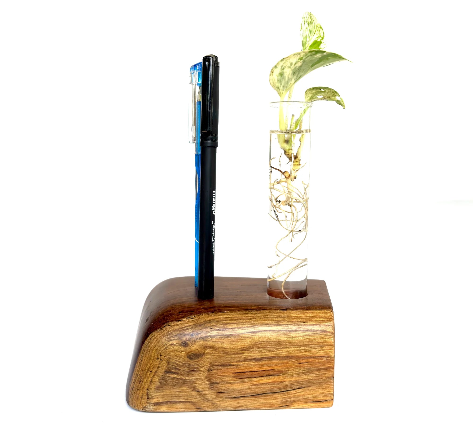 Wood Ceylon Pen Holder with a sleek design and a test tube for displaying plants