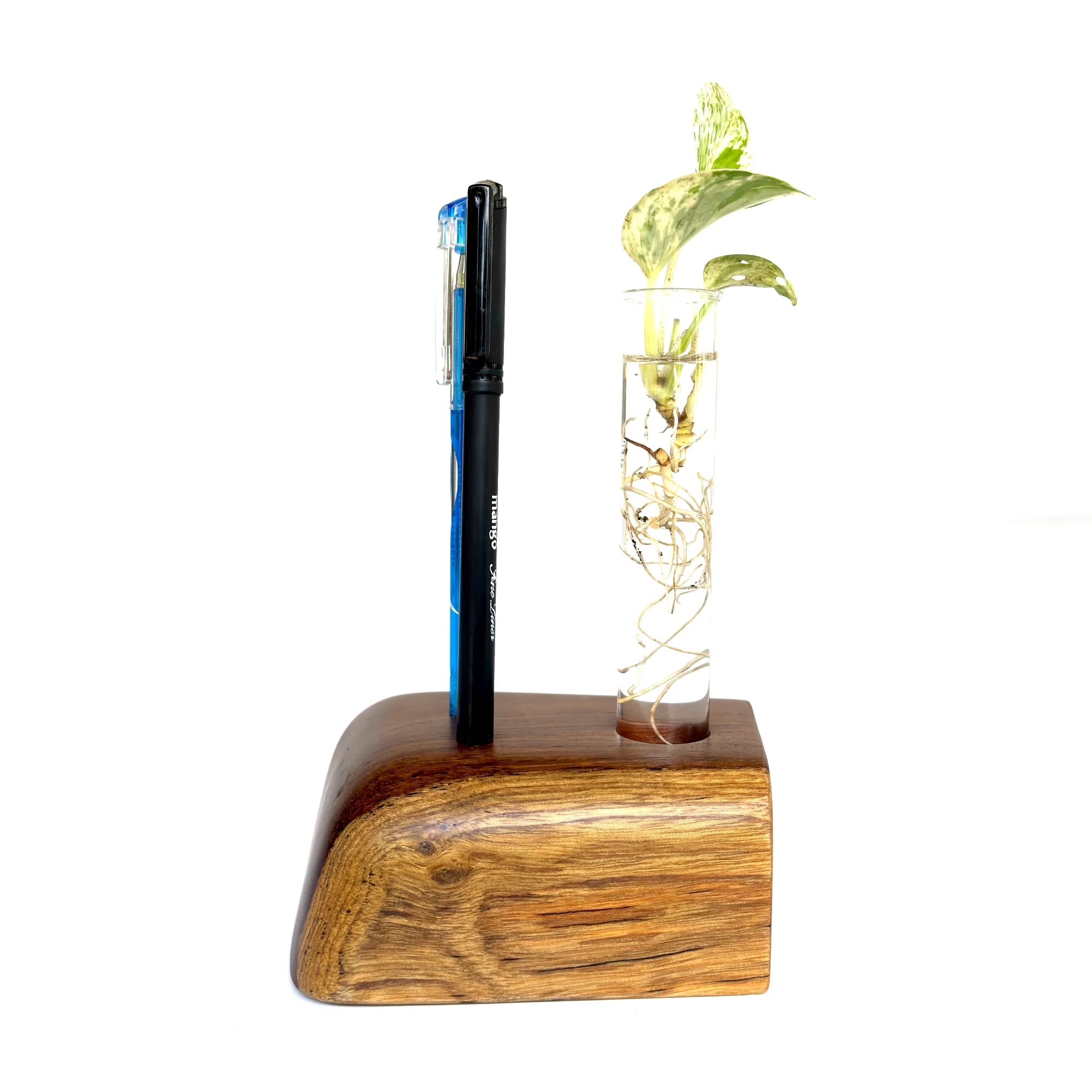 Wood Ceylon Pen Holder with a sleek design and a test tube for displaying plants