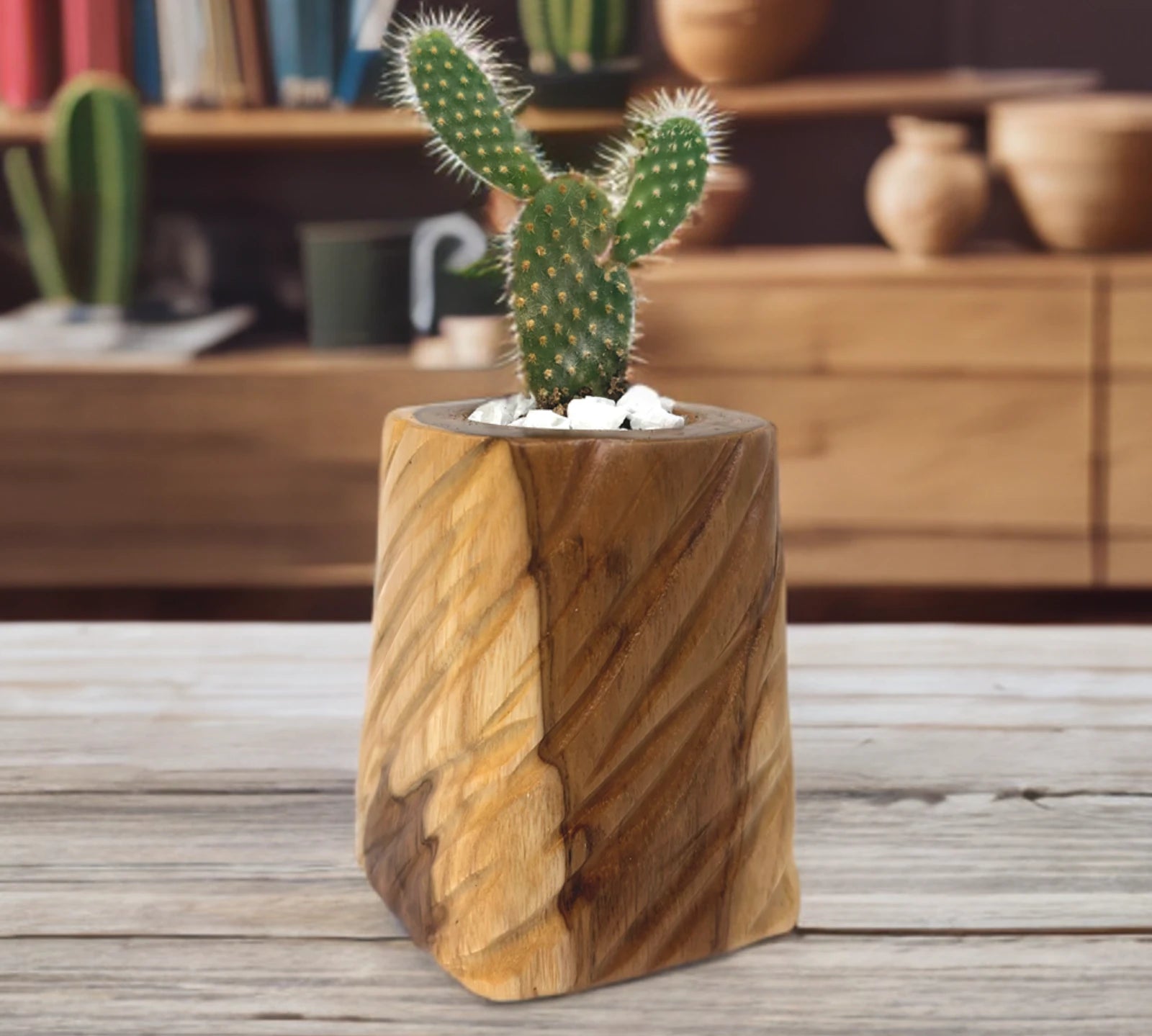 Natural Wooden Plant Pot for Succulents with a Cactus and Decorative Stones