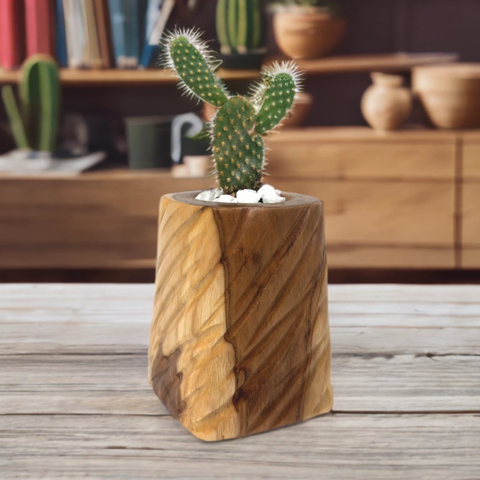 Natural Wooden Plant Pot for Succulents with a Cactus and Decorative Stones