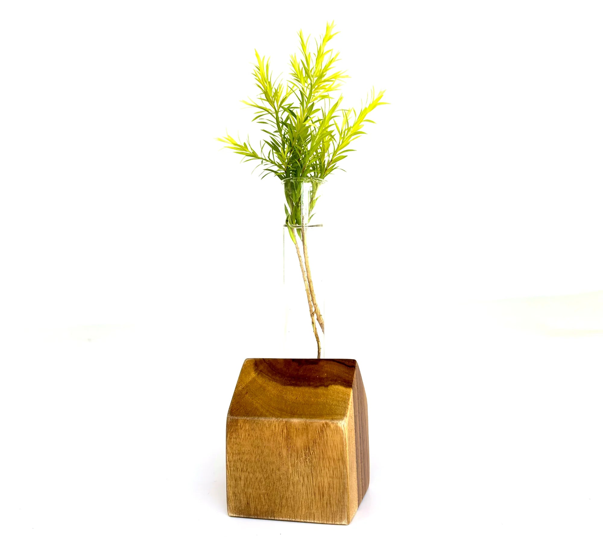 Wooden test tube vase with a glass tube and a green plant, elegantly showcasing natural materials