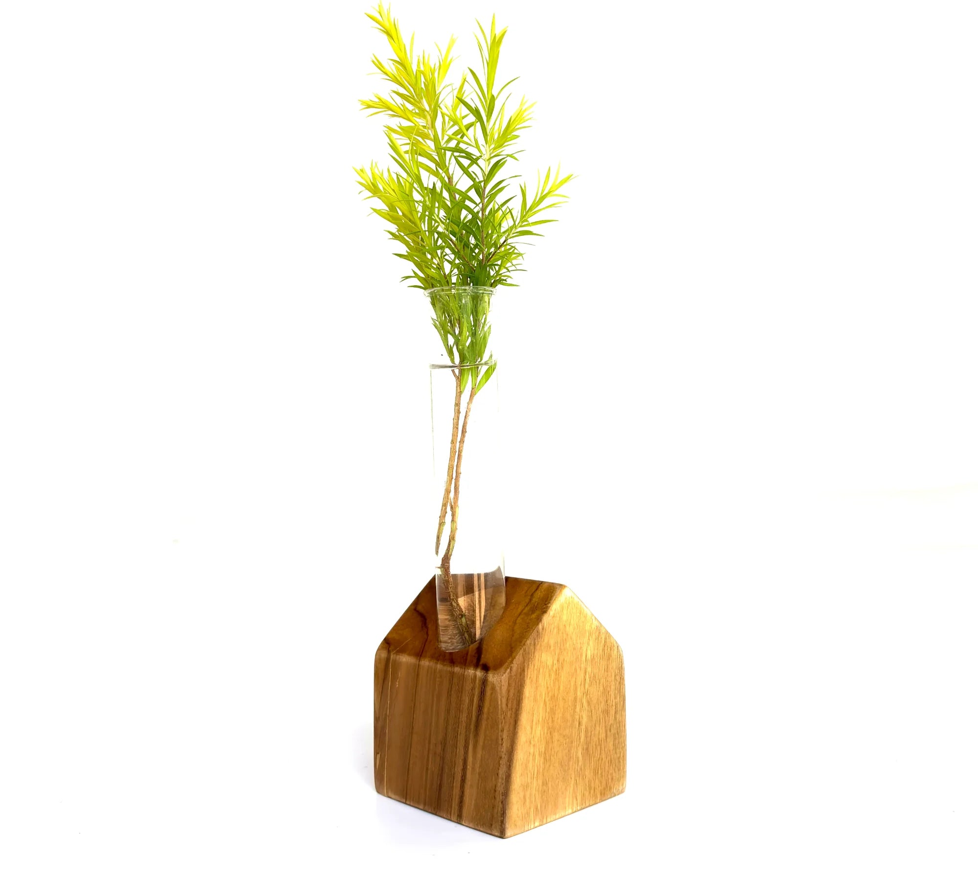 Unique wooden test tube vase with a clear glass tube for displaying small plants or flowers