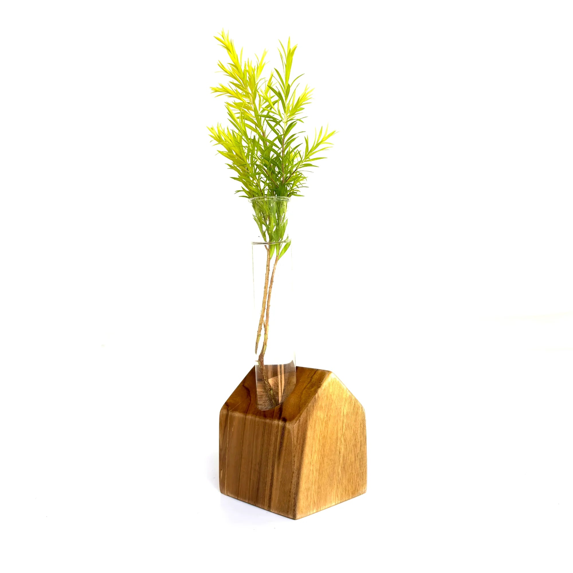 Unique wooden test tube vase with a clear glass tube for displaying small plants or flowers
