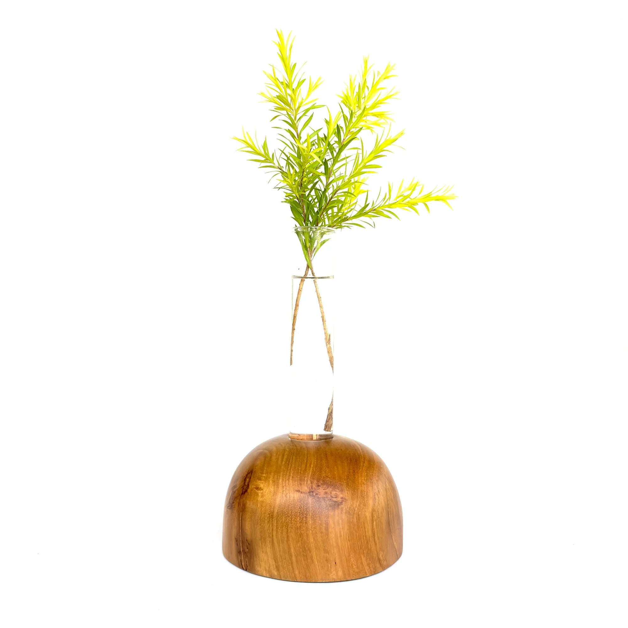 Wooden test tube vase featuring a natural wooden base and a plant for home decor