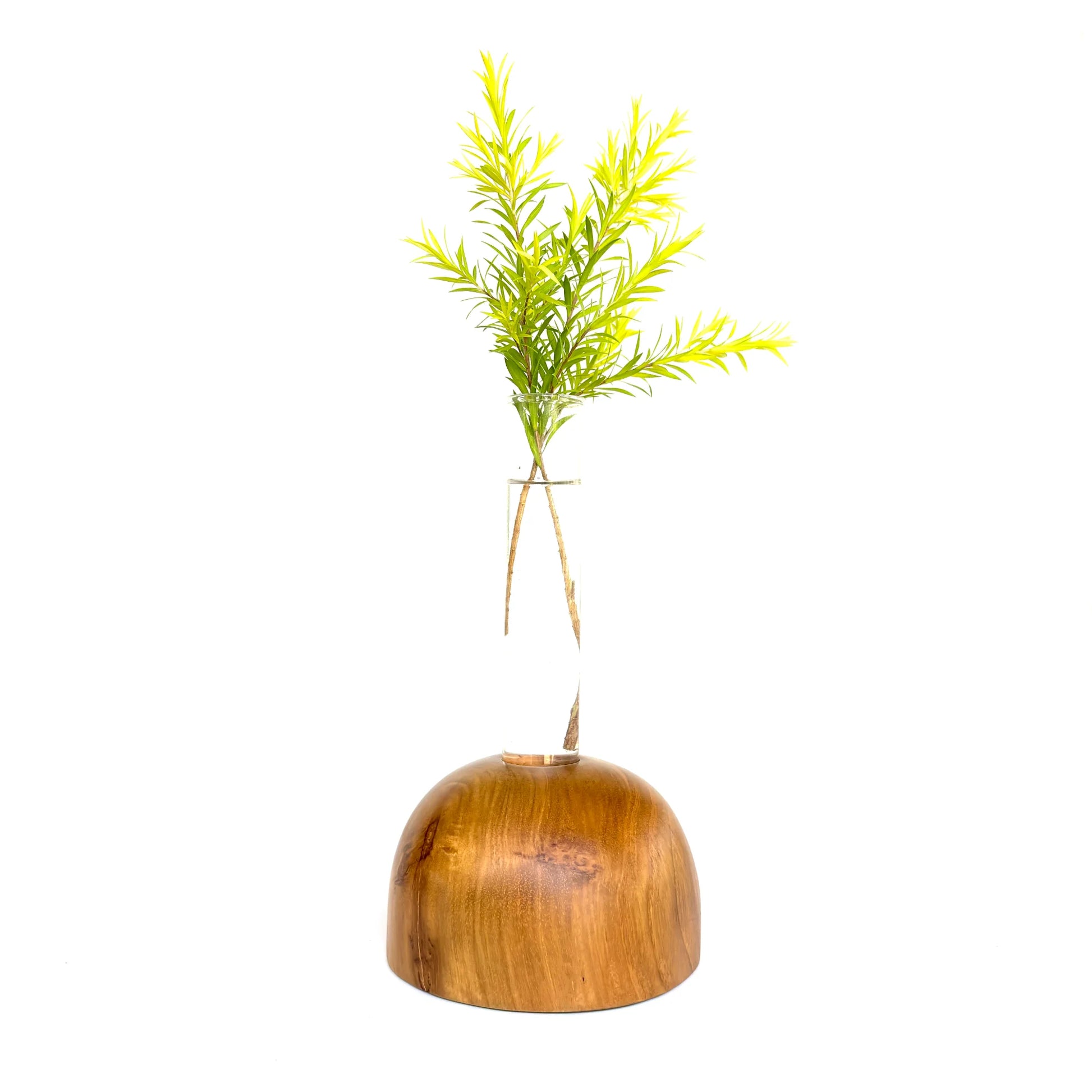 Wooden test tube vase featuring a natural wooden base and a plant for home decor