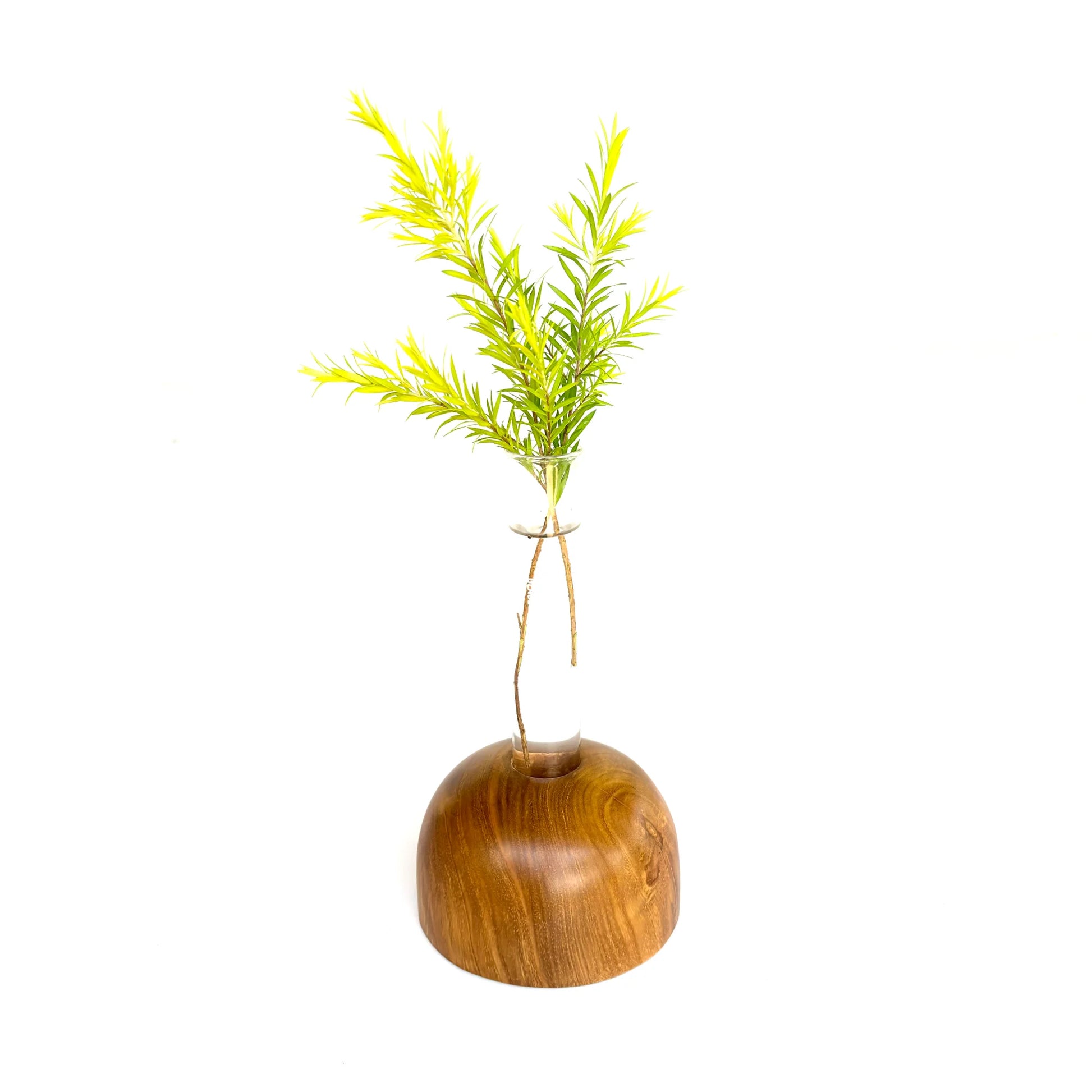 Wooden test tube vase with a natural wood base and green plant sprig for elegant home decor